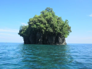 Sejarah Desa Idamdehe Gamsungi